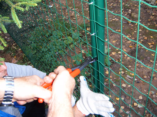 養(yǎng)殖護欄網(wǎng)